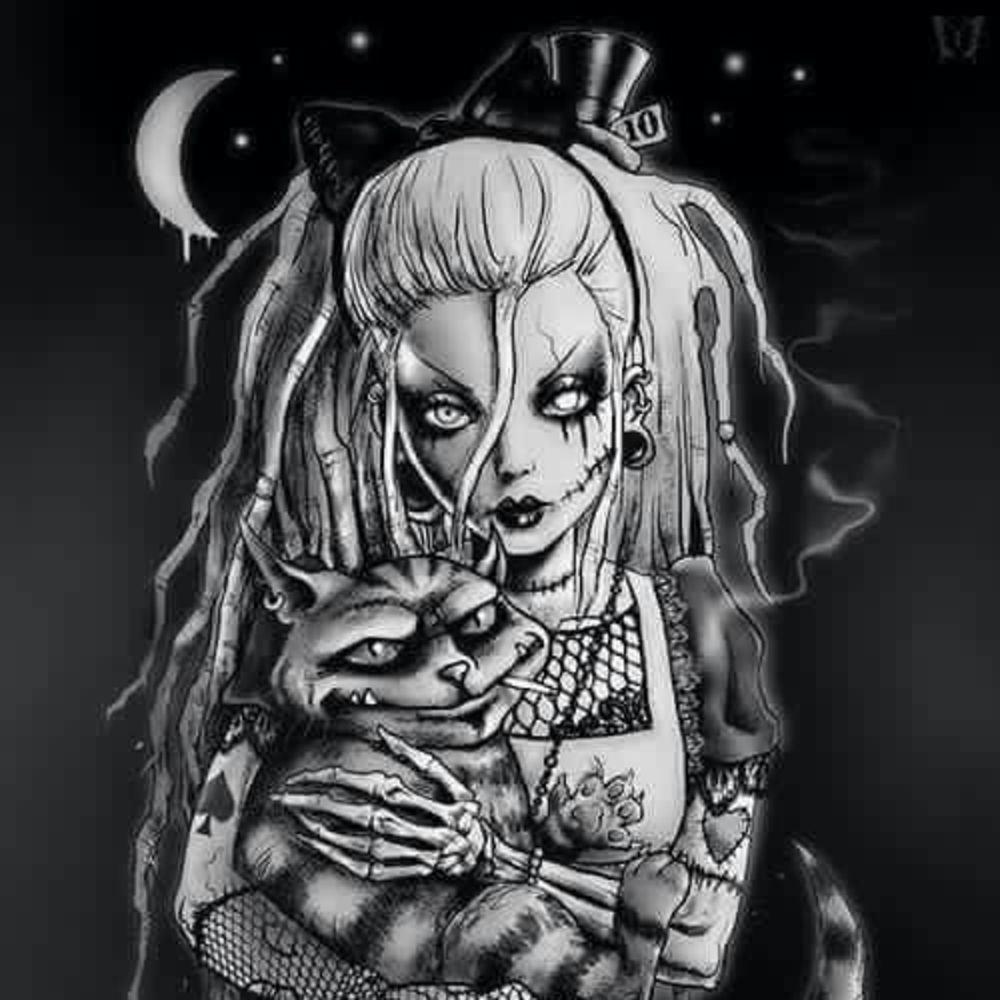 Meet your Posher, Misty